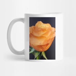 Orange Rose Mug